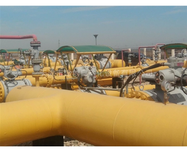 天津燃氣公司氣站IQ防爆執(zhí)行器